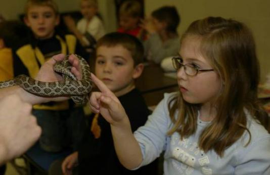 A little girl with glasses touches a snake with one finger as other children look on
