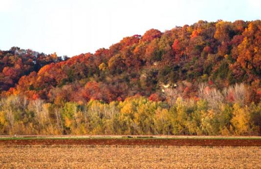 A beautiful view of fall color on a bluff in Hartsburg in Boone County.