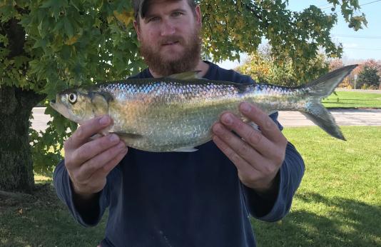 Bryant Rackers shows off his state record skipjack herring.
