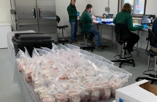 MDC staff prepare CWD tissue samples for testing 