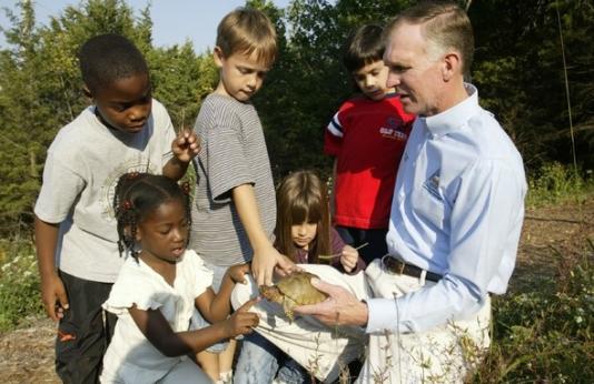 Kids learning more about turtles.