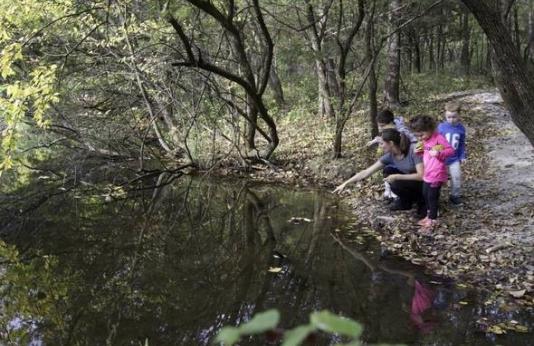 Three young kids with female teacher discovering nature at a pond