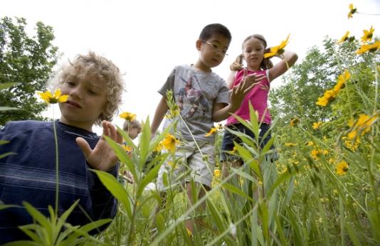 Kids looking at flowers