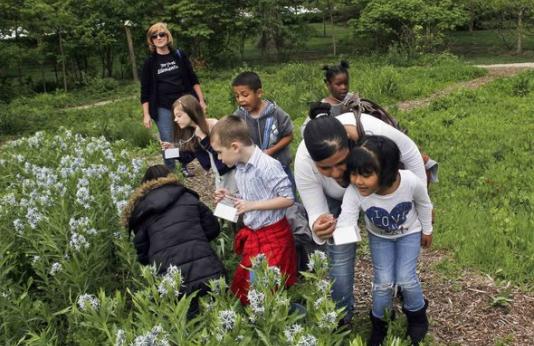 students and adults explore a patch of wildflowers