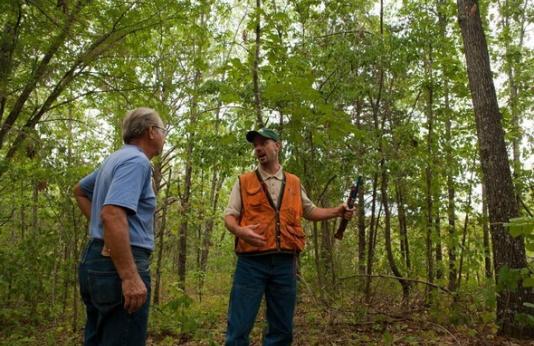 MDC forester discusses Timber Stand Improvement in woods with landowner