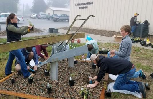 Trenton High School students plant wildflowers for pollinators