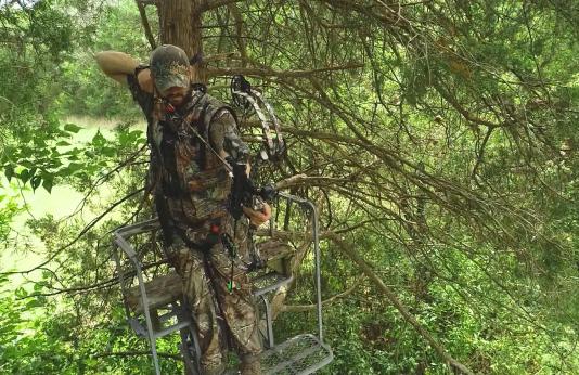 Person bowhunting from a treestand.