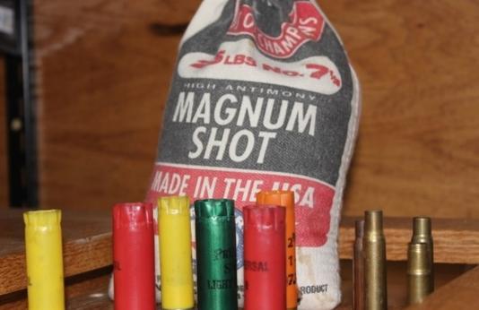 ammunition -- shotgun shells and bullets