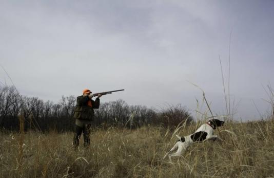 A hunter aims his shotgun while hunting with his bird dog