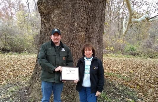 two people pose in front of co-champion American sycamore