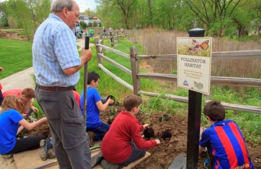 Several children plant native plants along a trail at a Missouri park.