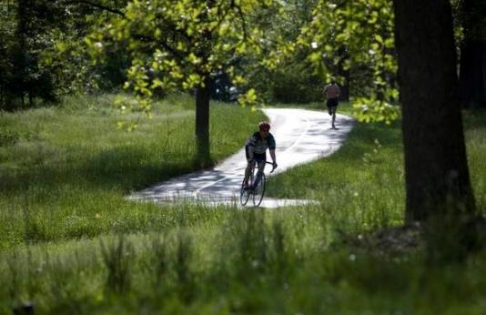 a cyclist and runner go along path through trees