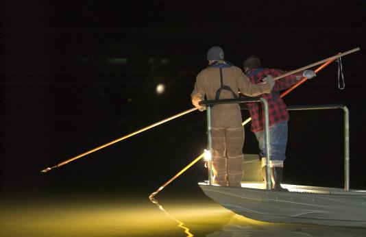 people gig for fish from a boat at night