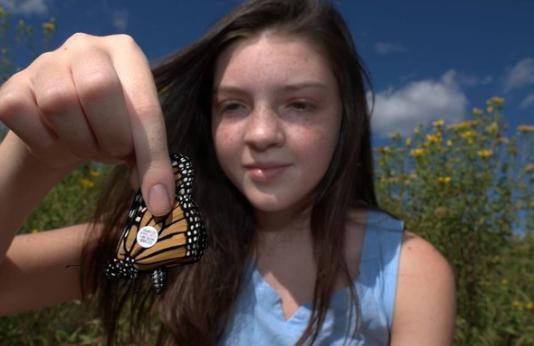 girl holding tagged monarch butterfly