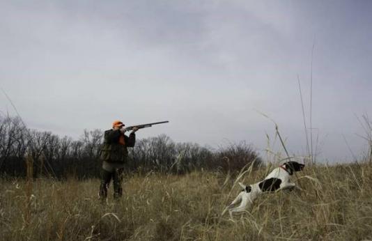 hunter shooting with dog retrieving