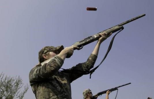 two hunters shoot at doves in field
