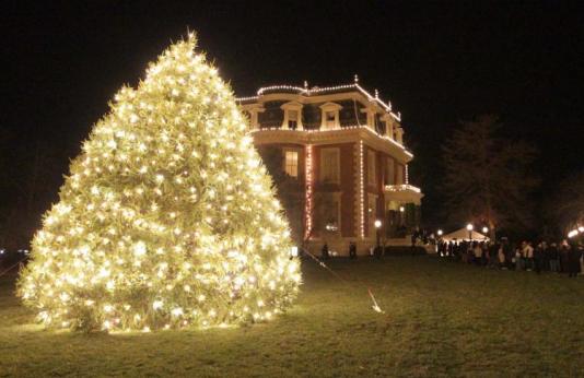 governor’s mansion Christmas tree