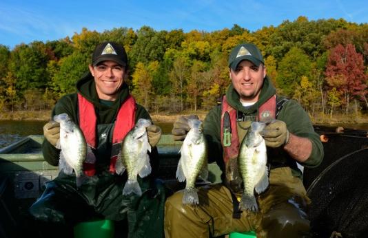 two MDC staff in boat each hold two crappie