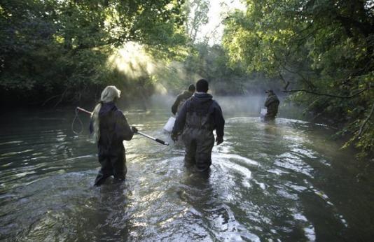 trappers in creek
