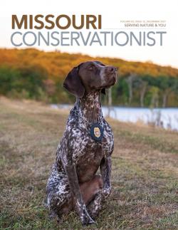 Missouri Conservationist Cover December