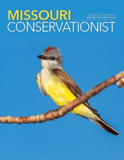 March 2022 Conservationist cover