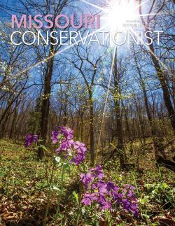 April Conservationist cover 