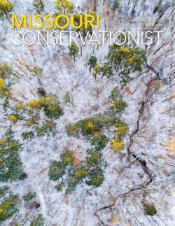 Conservationist Magazine front cover 