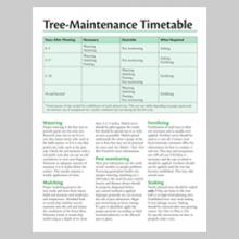 Tree Maintenance Timetable