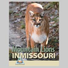 Mountain Lions in Missouri