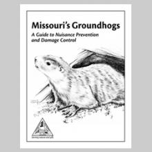 Missouri Groundhogs (Damage Control) 