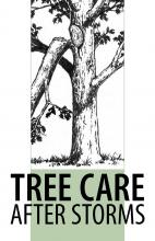 Cover of Tree Care After Storms