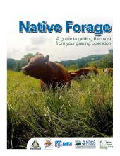 Native Forage cover