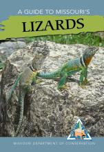 A Guide to Missouri's Lizards cover