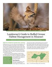 First page of ruffed grouse management guide, showing a grouse with its wings in a blur.