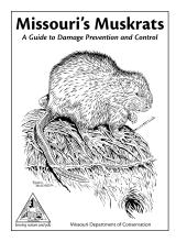 Missouri's Muskrats: A guide to damage prevention and control