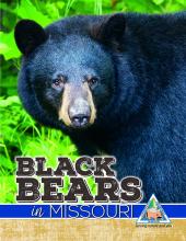 Black bears in Missouri cover.