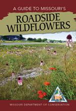 A guide to Missouri's roadside wildflowers